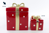 Immagine di 34133 SCATOLA NATAL.PORC.H.20