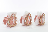 Immagine di PORTA SACCHETTO LEGNO DANZA 3 COLORI ASSORTITI CONFEZIONE 48 PEZZI