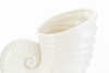 Immagine di Vaso conchiglia porcellana bianca  LE STELLE BOMBONIERE