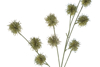 Immagine di CONFEZIONE 12 PEZZI FIORE ARTIFICIALE 80CM COL.VERDE