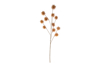 Immagine di CONFEZIONE 12 PEZZI FIORE ARTIFICIALE 80CM COL.BEIGE LE STELLE BOMBONIERE