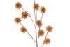 Immagine di CONFEZIONE 12 PEZZI FIORE ARTIFICIALE 80CM COL.BEIGE LE STELLE BOMBONIERE