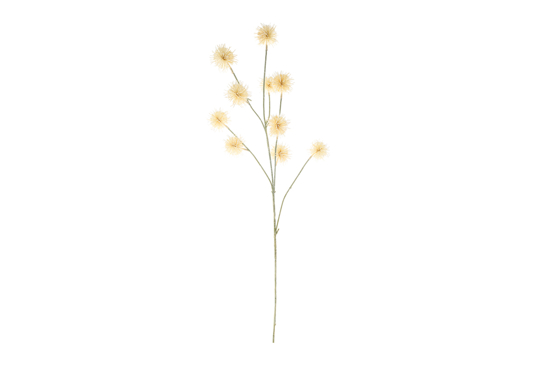 Immagine di CONFEZIONE 12 PEZZIFIORE ARTIFICIALE 80CM COL.PANNA LE STELLE BOMBONIERE