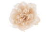 Immagine di CONFEZIONE 48 PEZZI FIORE PEONIA diam.11CM COL.BEIGE
