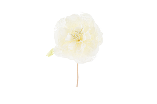 Immagine di CONFEZIONE 48 PEZZI FIORE PEONIA diam.11CM COL.PANNA