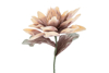 Immagine di CONFEZIONE 8 PEZZI FIORE ARTIFICIALE CIPRIA diam.28xlungh.76CM