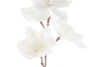 Immagine di CONFEZIONE 8 PEZZI FIORE ARTIFICIALE BIANCO diam.18xlungh.105CM