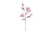 Immagine di CONFEZIONE 8 PEZZI FIORE ARTIFICIALE VIOLA diam.24xlungh.100CM