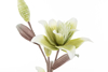 Immagine di CONFEZIONE 8 PEZZI FIORE ARTIFICIALE VERDE diam.24xlungh.100CM