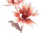 Picture of CONFEZIONE 12 PEZZI FIORE ARTIFICIALE ROSA diam.20xlungh.88CM