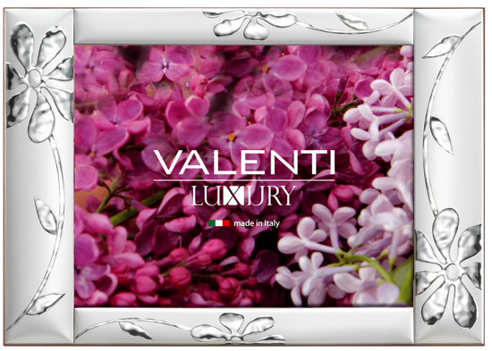 Immagine di CORNICE E SPECCHIERA VALENTI & CO 23x25