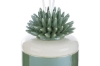 Immagine di PROFUMATORE CORALLO PORCELLANA VERDE 8,5x8,5xh.11,5CM