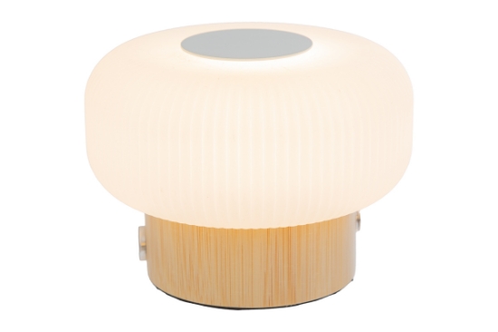 Immagine di LAMPADA MOONLIGHT TOUCH d.13,5xh.9.5CM C/SHOPPER 13695